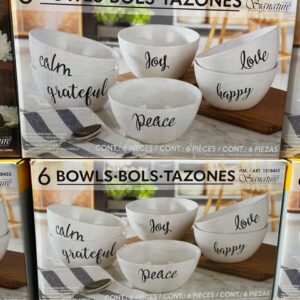 6 bowls bols tazones